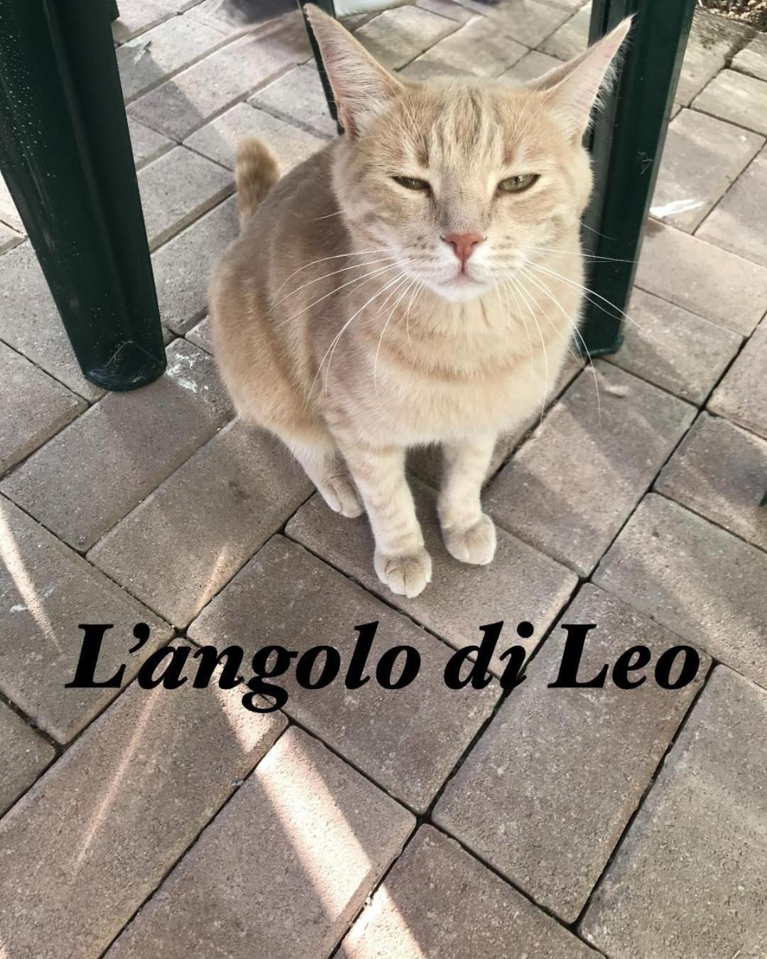 L'Angolo Di Leo Borgofranco d'Ivrea Экстерьер фото